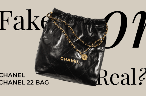 оригинал сумки Chanel 22