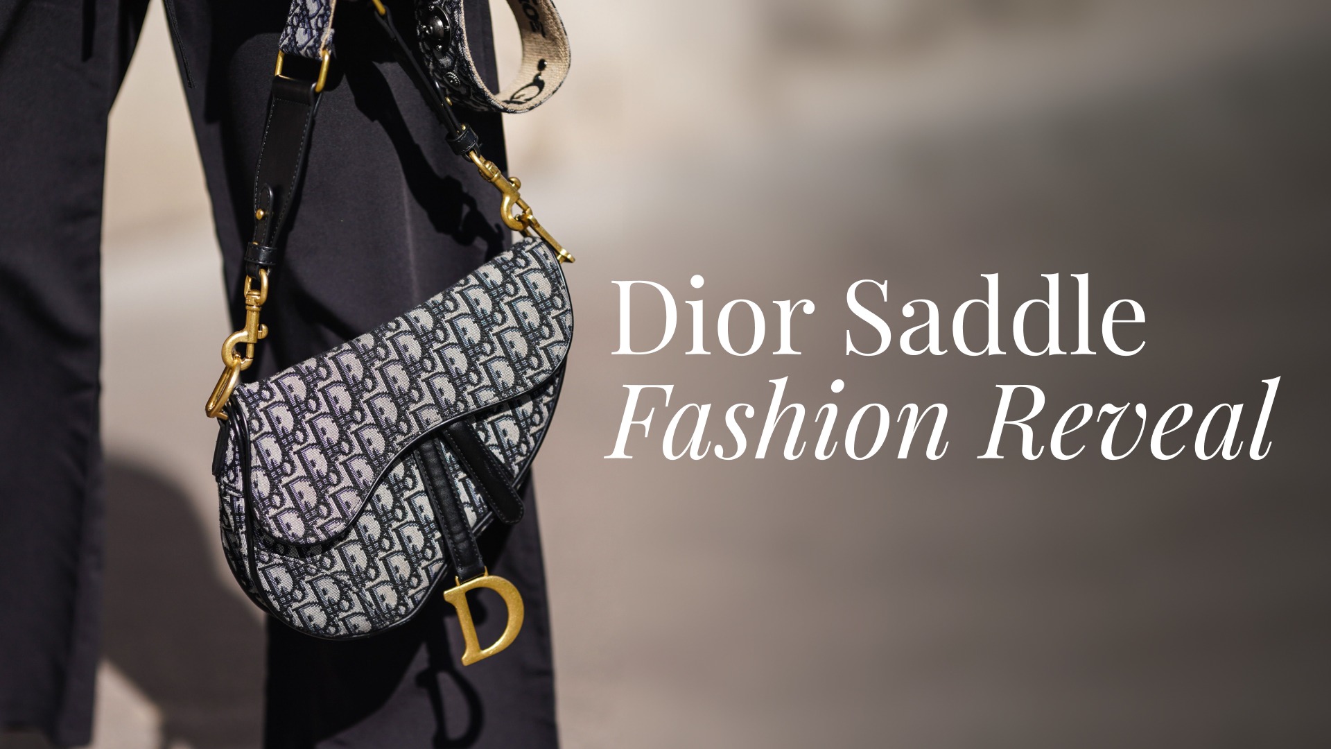 Authentic dior saddle bag hotsell